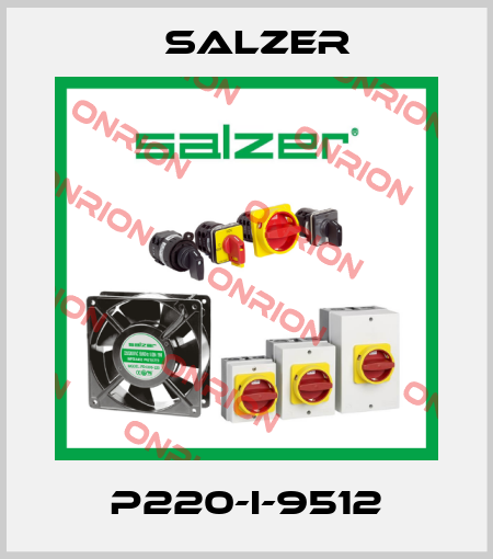P220-I-9512 Salzer