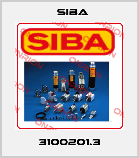 3100201.3 Siba