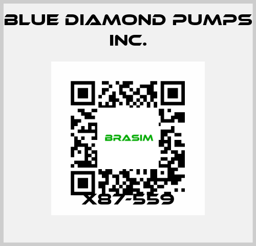 X87-559 Blue Diamond Pumps Inc.