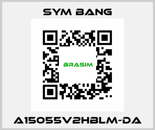 A15055V2HBLM-DA SYM BANG