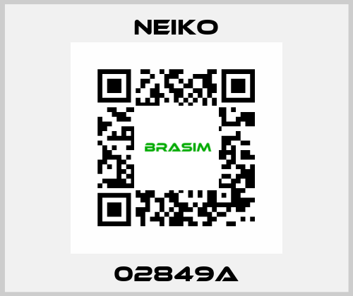 02849A Neiko