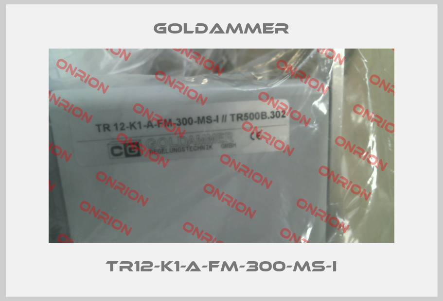 TR12-K1-A-FM-300-MS-I-big