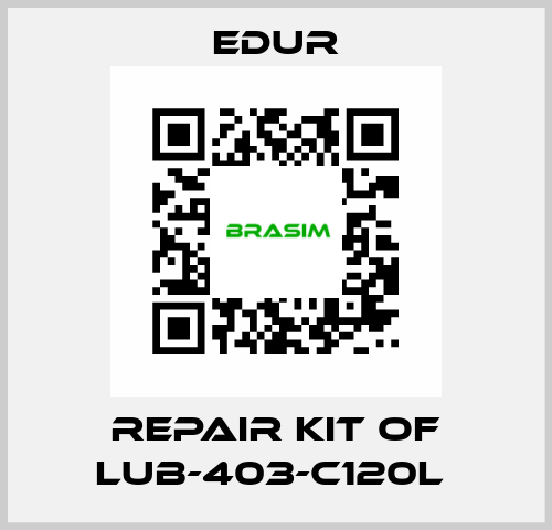 REPAIR KIT OF LUB-403-C120L  Edur