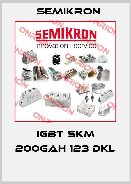 igbt SKM 200GAH 123 DKL   Semikron