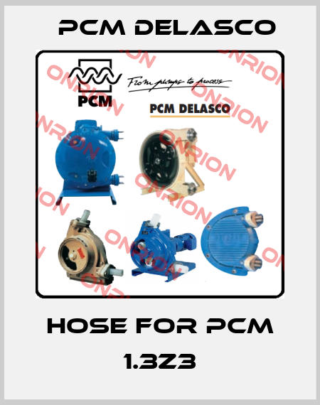 hose for PCM 1.3Z3 PCM delasco