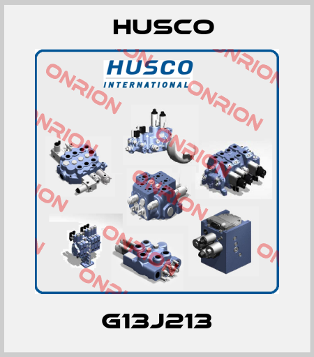 G13J213 Husco