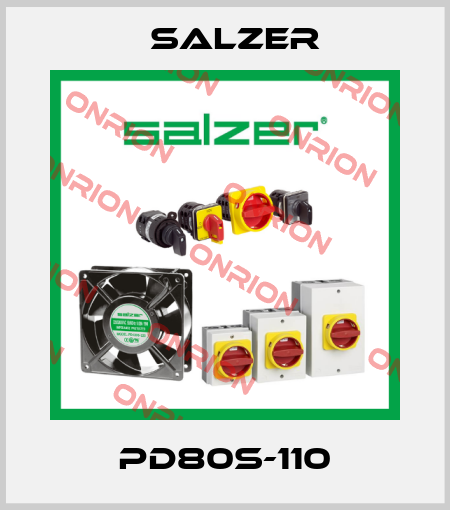 PD80S-110 Salzer