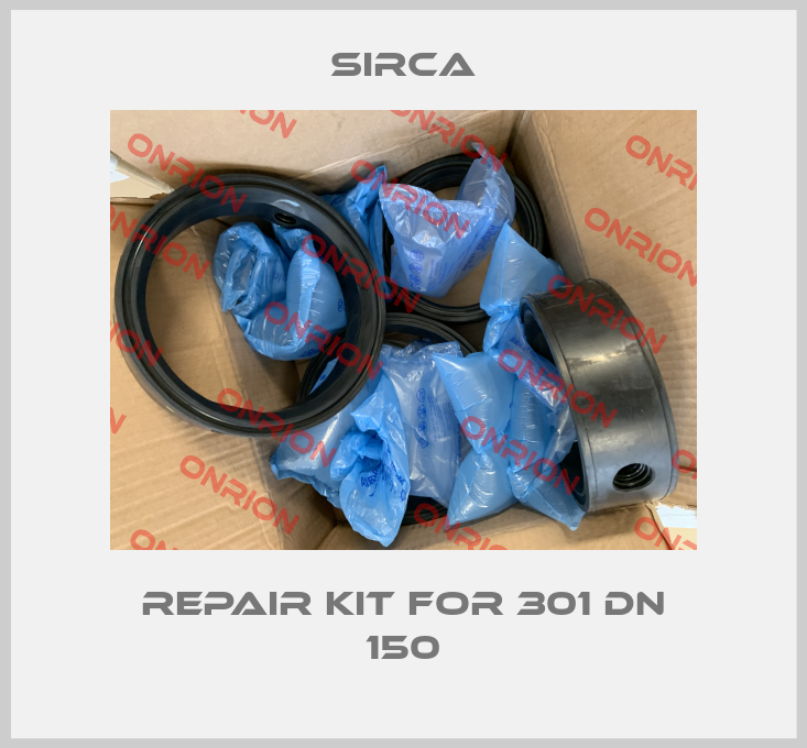 Repair kit for 301 DN 150-big