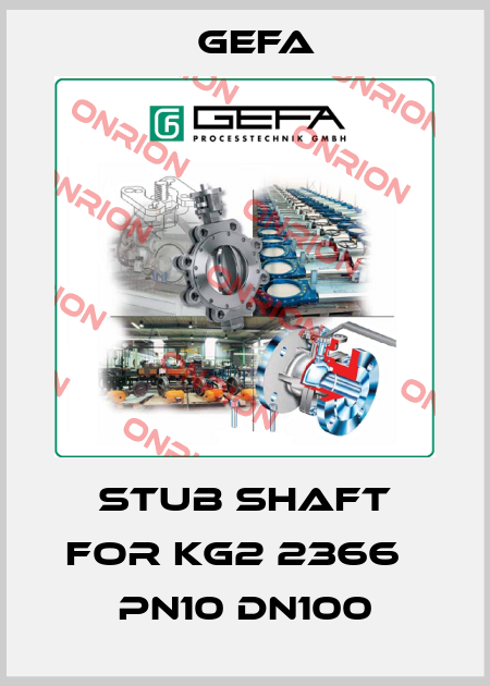 Stub shaft for KG2 2366В PN10 DN100 Gefa