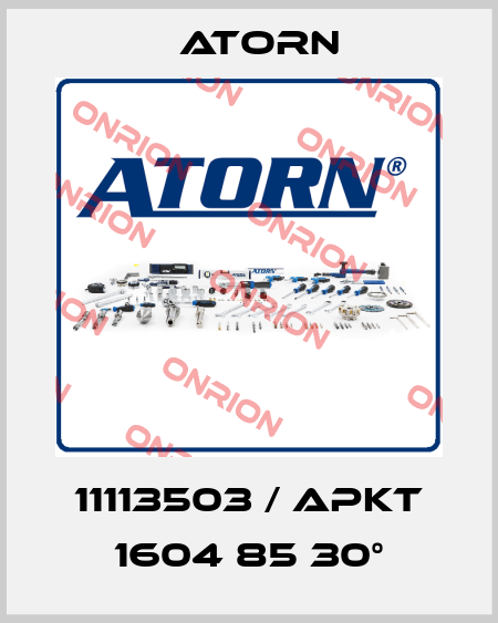 11113503 / APKT 1604 85 30° Atorn