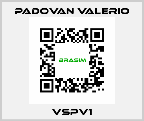 VSPV1 PADOVAN VALERIO