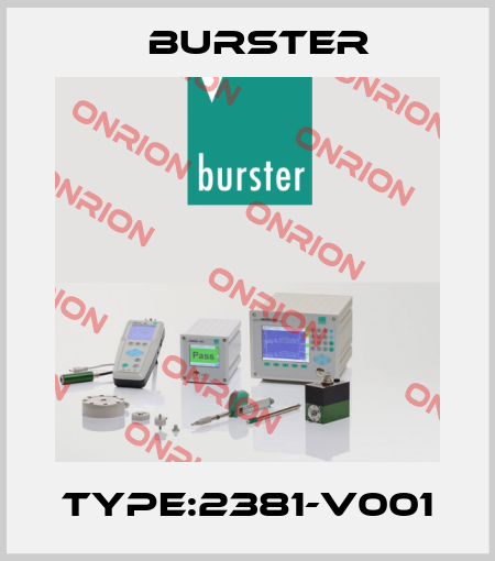 Type:2381-V001 Burster
