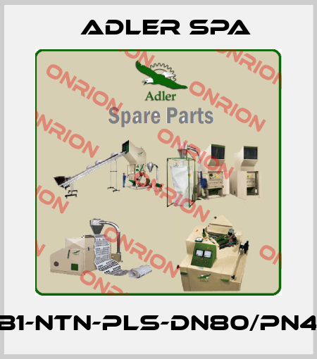 FB1-NTN-PLS-DN80/PN40 Adler Spa