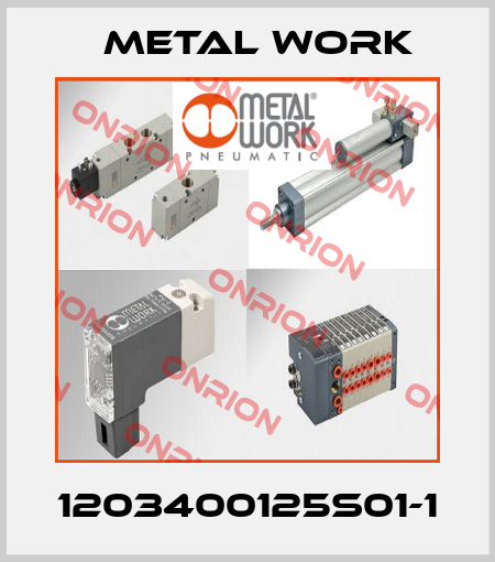 1203400125S01-1 Metal Work