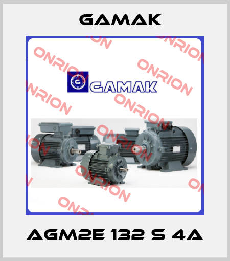 AGM2E 132 S 4a Gamak