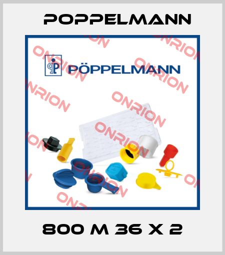 800 M 36 x 2 Poppelmann
