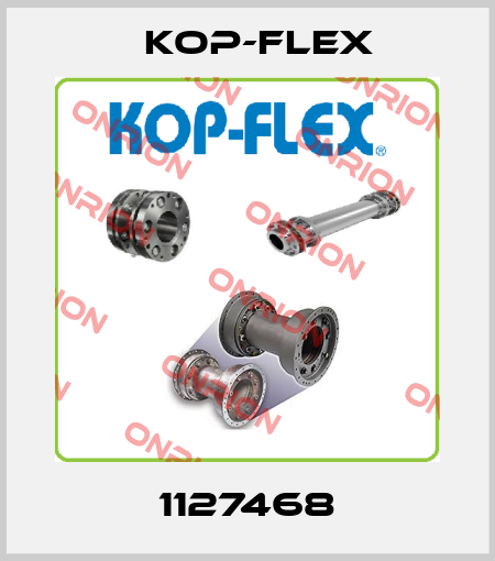 1127468 Kop-Flex