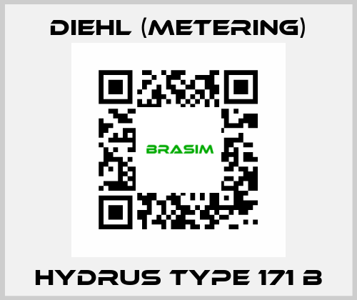 Hydrus Type 171 B Diehl (Metering)