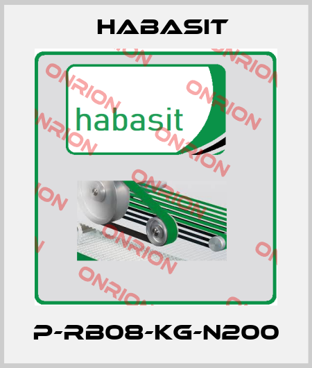 P-RB08-KG-N200 Habasit