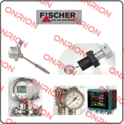 DS1102VDYYBKYY00D0544 Fischer Mess Regeltechnik