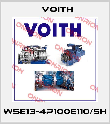 WSE13-4P100E110/5H Voith