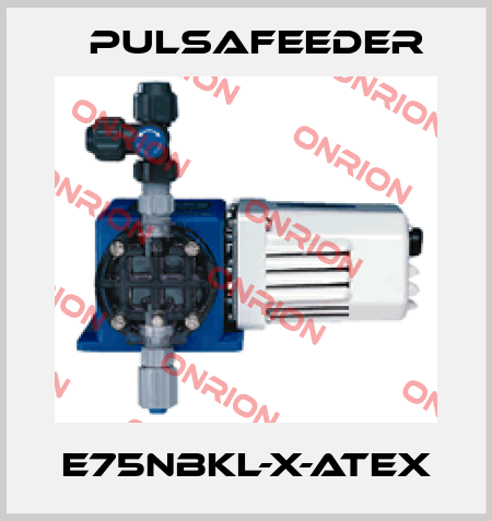 E75NBKL-X-ATEX Pulsafeeder