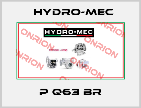 P Q63 BR Hydro-Mec