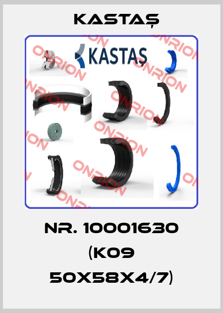Nr. 10001630 (K09 50X58X4/7) Kastaş