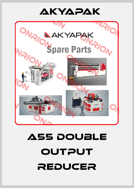 A55 double output reducer Akyapak
