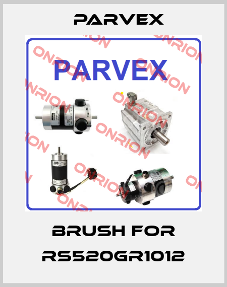 Brush for RS520GR1012 Parvex