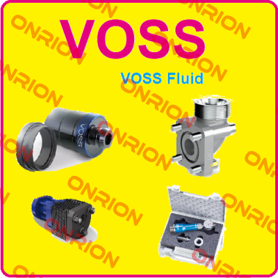 720212000 Voss