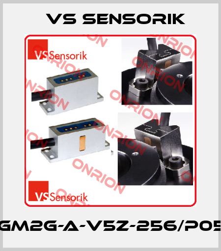 RGM2G-A-V5Z-256/P050 VS Sensorik