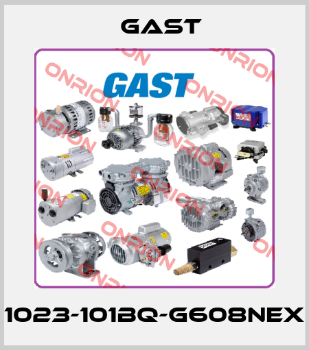 1023-101BQ-G608NEX Gast