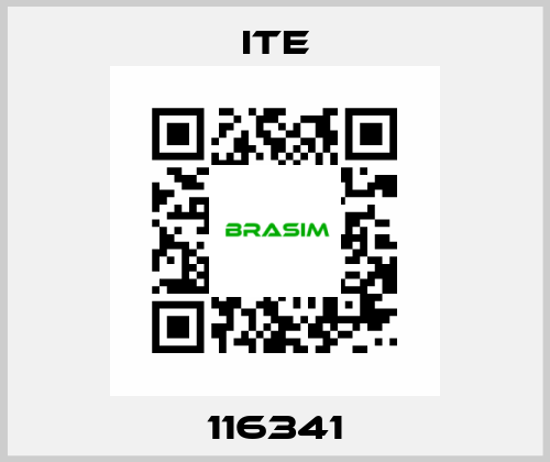 116341 ITE