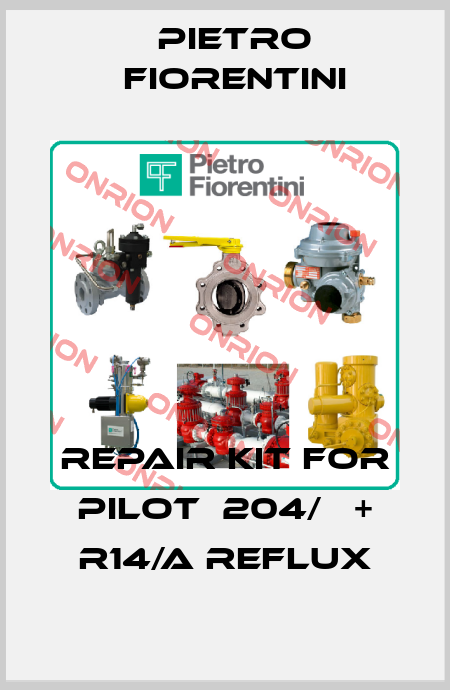 repair kit for pilot  204/А + R14/A REFLUX Pietro Fiorentini