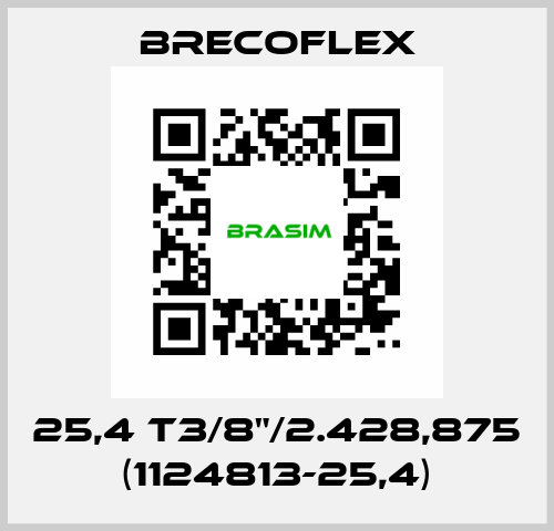 25,4 T3/8"/2.428,875 (1124813-25,4) Brecoflex