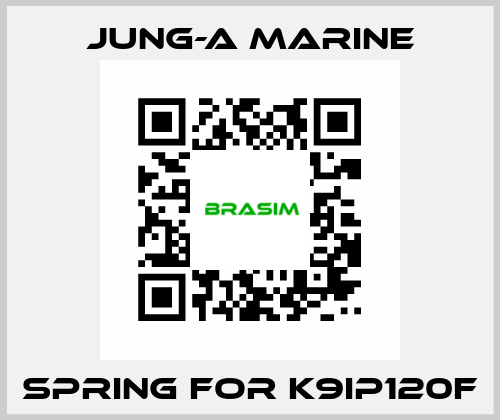 spring for K9IP120F JUNG-A MARINE