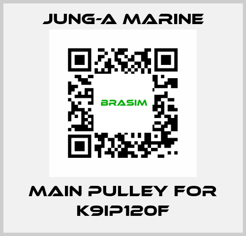 main pulley for K9IP120F JUNG-A MARINE