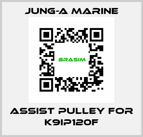 assist pulley for K9IP120F JUNG-A MARINE