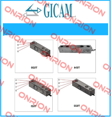 S/N: 2021/0019 Gicam