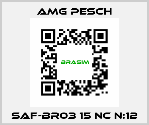 SAF-BR03 15 NC n:12 AMG Pesch