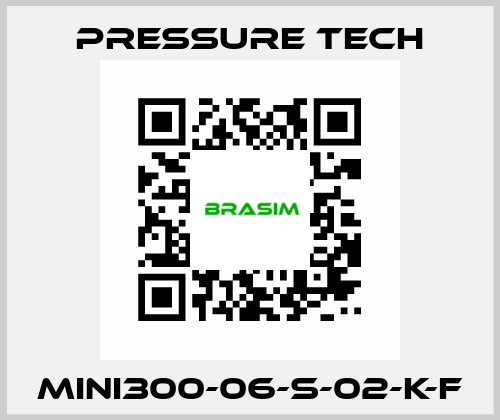 MINI300-06-S-02-K-F Pressure Tech