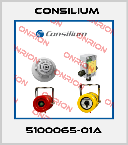 5100065-01A Consilium