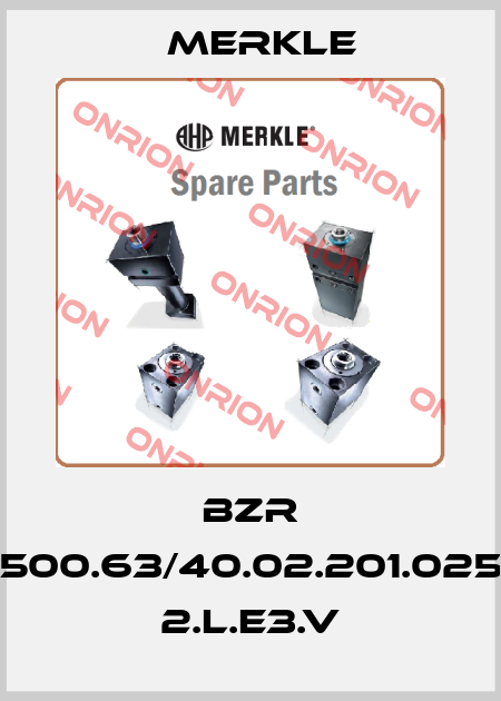 BZR 500.63/40.02.201.025 2.L.E3.V Merkle