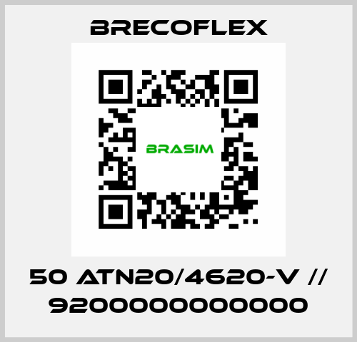 50 ATN20/4620-V // 9200000000000 Brecoflex