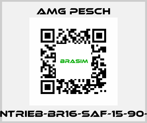 AMG-Antrieb-BR16-SAF-15-90-01-n=12 AMG Pesch