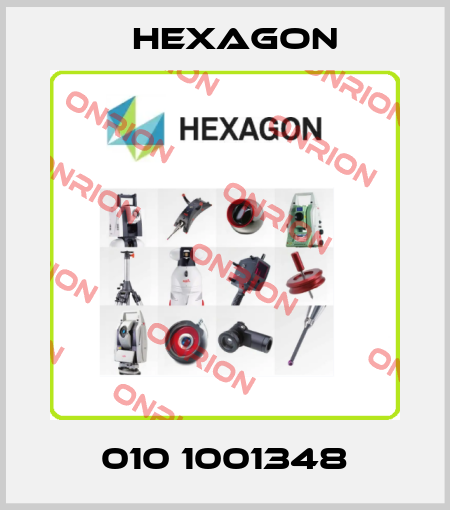 010 1001348 Hexagon