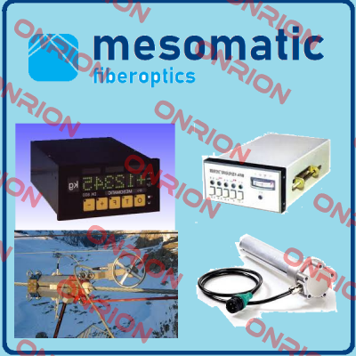 31074-Profibus DP/EN Mesomatic