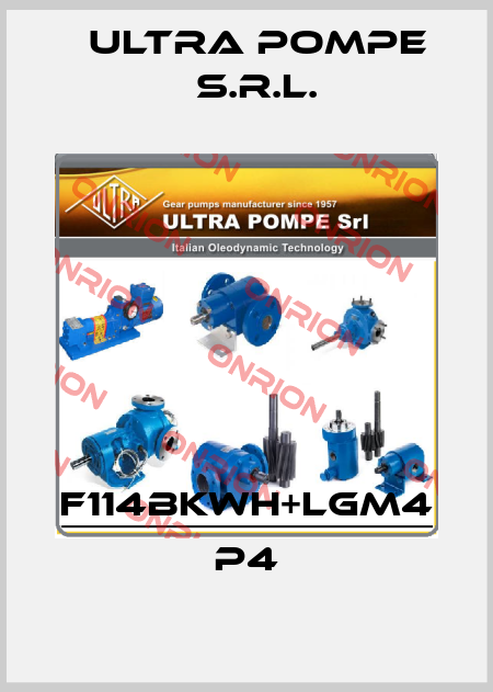 F114BKWH+LGM4 P4 Ultra Pompe S.r.l.