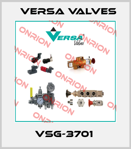VSG-3701  Versa Valves